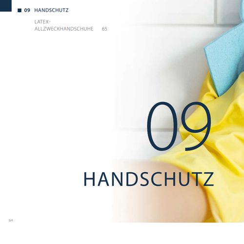 Handschutz