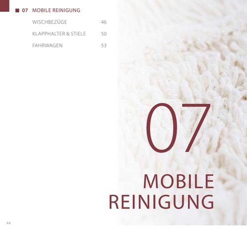 Mobile Reinigung