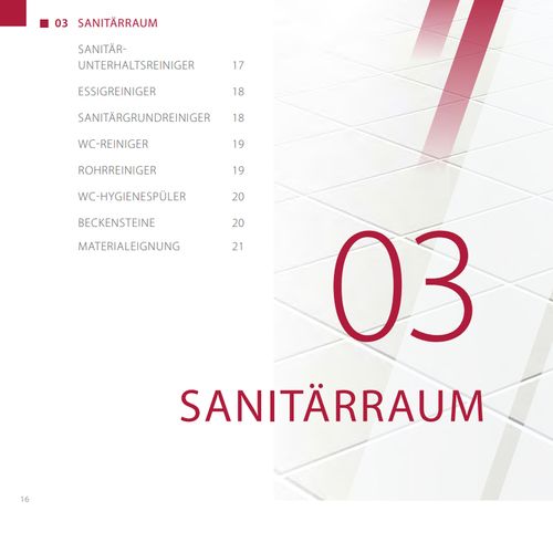 Sanitärraumreinigung